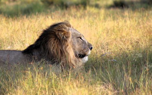 1755269 (a): :1920x1200